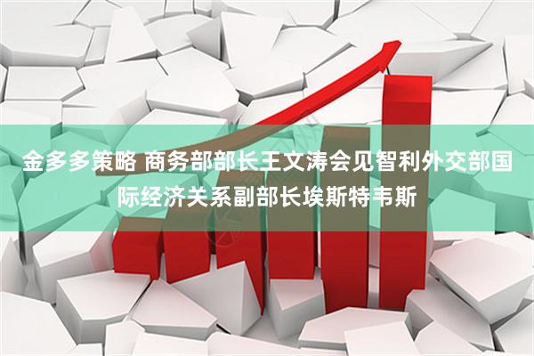 金多多策略 商务部部长王文涛会见智利外交部国际经济关系副部长埃斯特韦斯