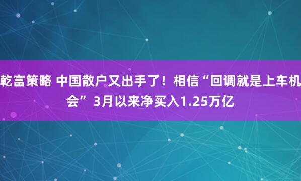 乾富策略 中国散户又出手了！相信“回调就是上车机会” 3月以来净买入1.25万亿