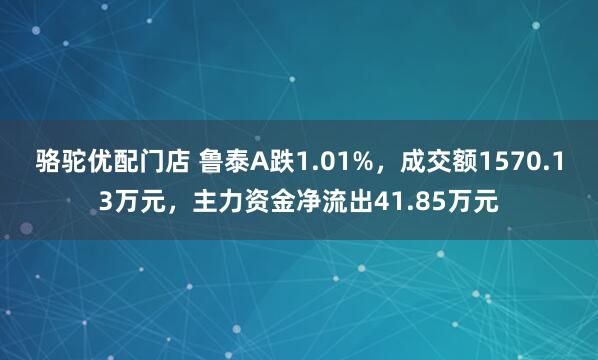 骆驼优配门店 鲁泰A跌1.01%,成交额1570.13万元,主力资金净流出41.85万元