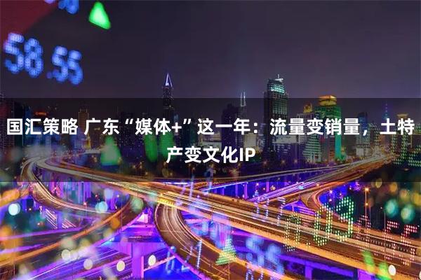 国汇策略 广东“媒体+”这一年：流量变销量，土特产变文化IP