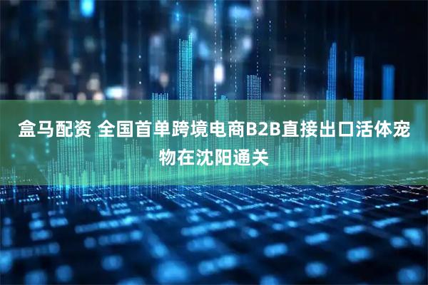 盒马配资 全国首单跨境电商B2B直接出口活体宠物在沈阳通关