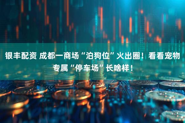 银丰配资 成都一商场“泊狗位”火出圈！看看宠物专属“停车场”长啥样！