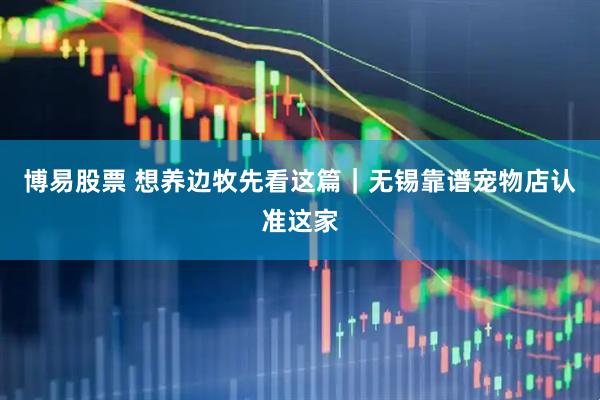 博易股票 想养边牧先看这篇｜无锡靠谱宠物店认准这家