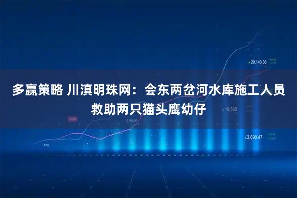 多赢策略 川滇明珠网：会东两岔河水库施工人员救助两只猫头鹰幼仔