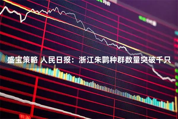 盛宝策略 人民日报：浙江朱鹮种群数量突破千只