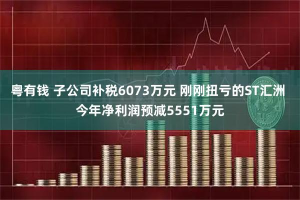 粤有钱 子公司补税6073万元 刚刚扭亏的ST汇洲 今年净利润预减5551万元