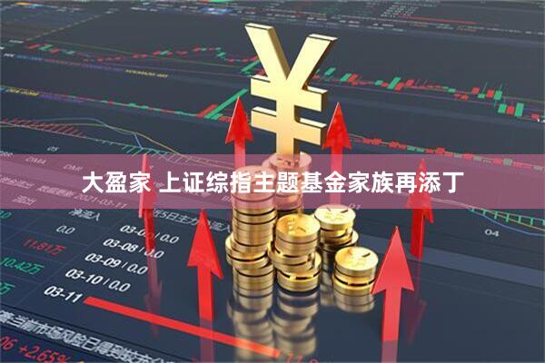 大盈家 上证综指主题基金家族再添丁