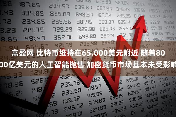 富盈网 比特币维持在65,000美元附近 随着8000亿美元的人工智能抛售 加密货币市场基本未受影响