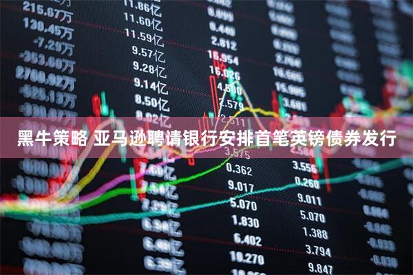 黑牛策略 亚马逊聘请银行安排首笔英镑债券发行