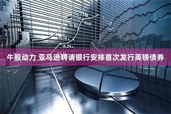 牛股动力 亚马逊聘请银行安排首次发行英镑债券